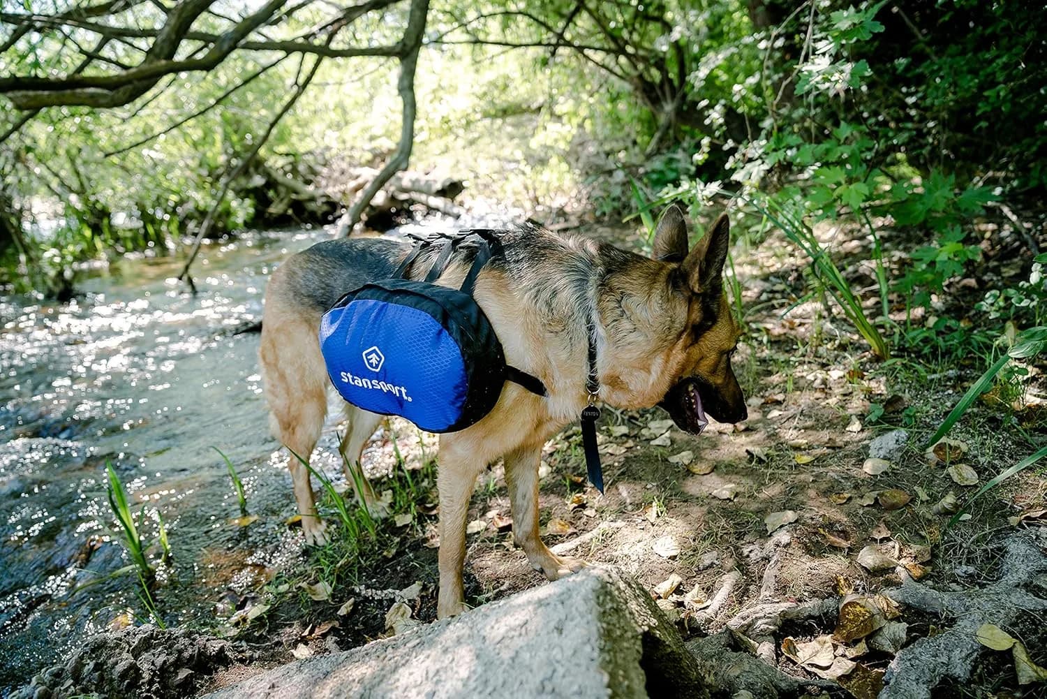 Mochila Dog Stansport